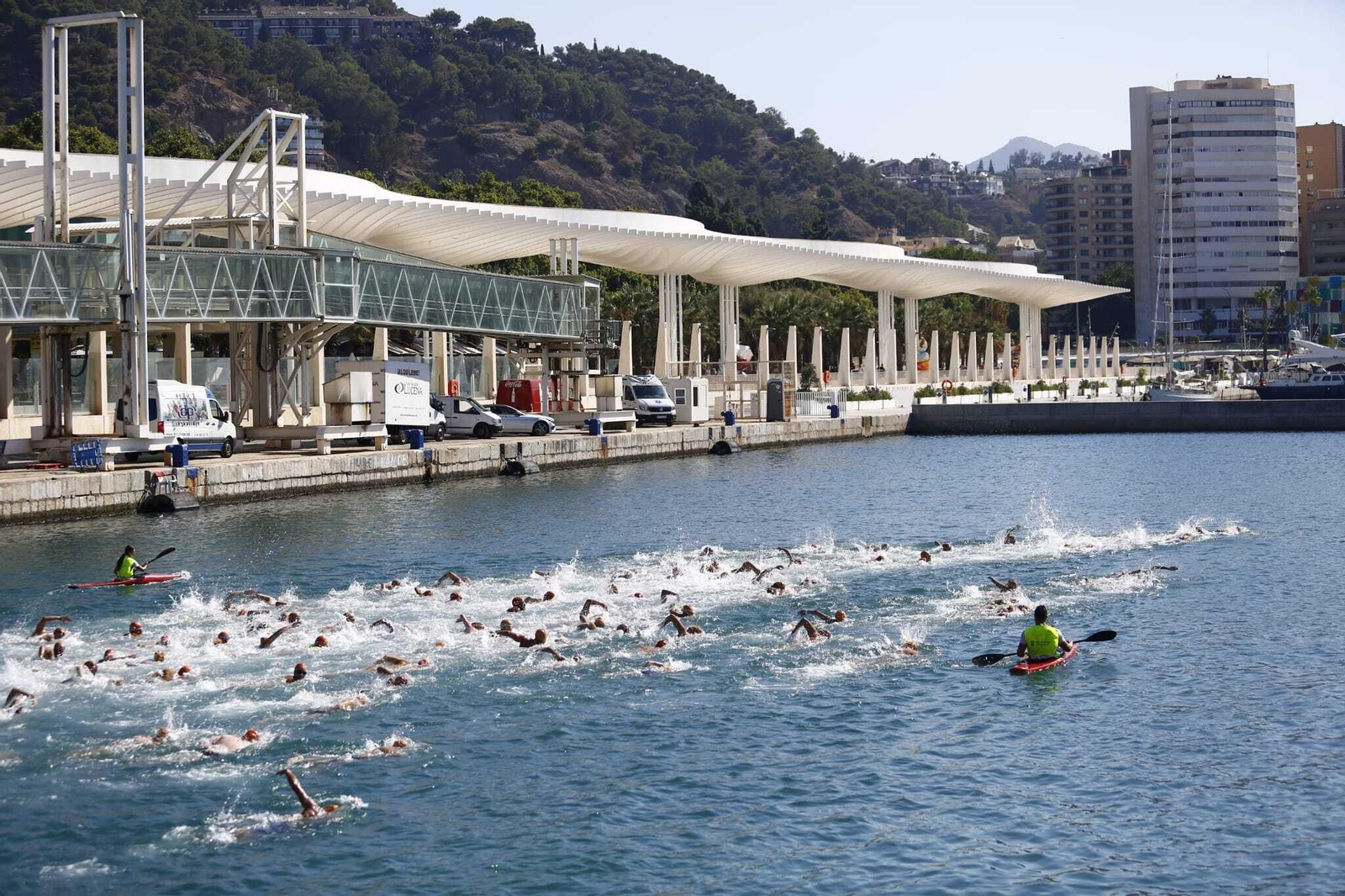 La 62 Travesía a Nado del Puerto de Málaga, en fotos