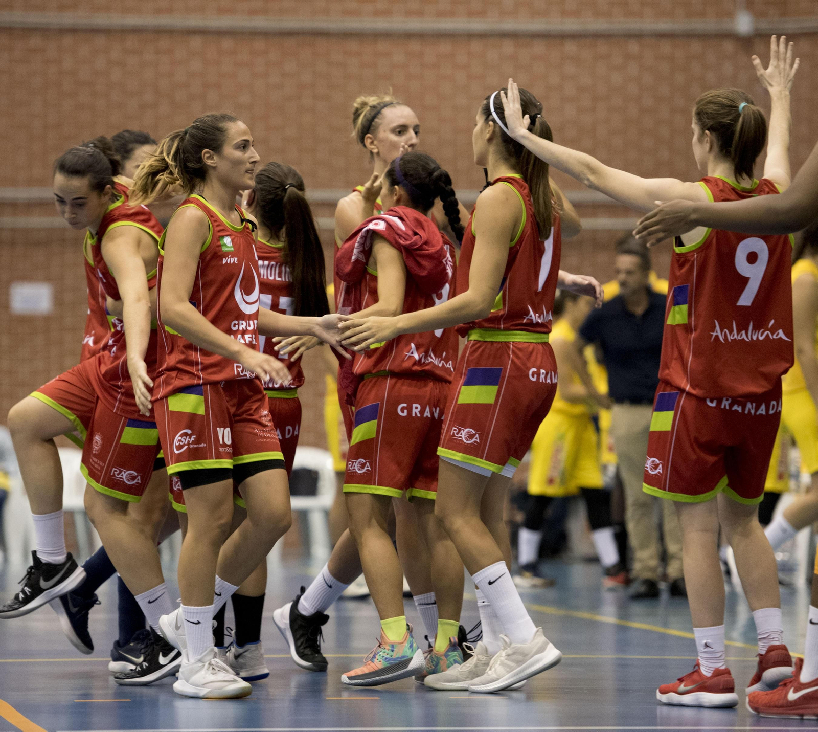 El RACA recibe la medalla de Andalucía 2019