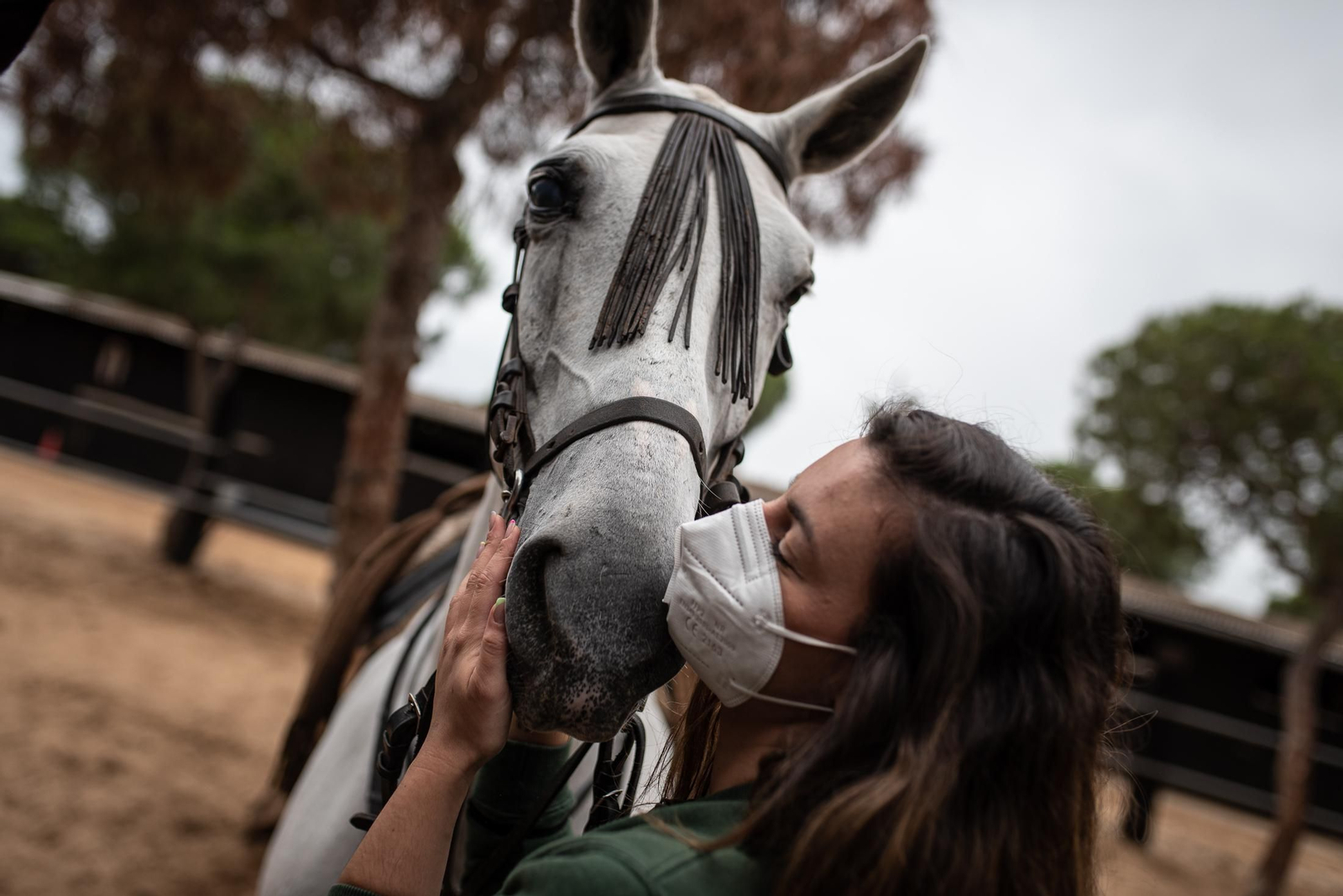 Un paseo a caballo por Doñana en imágenes