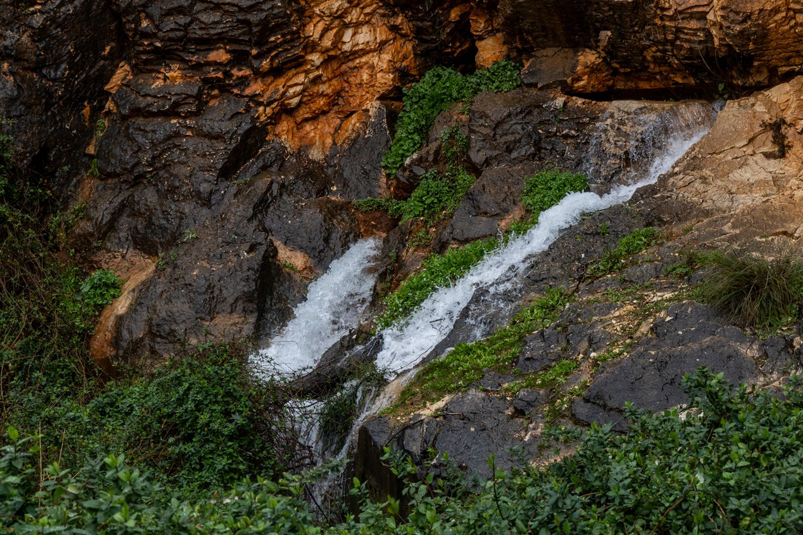 ojo_de_buey/_MG_7865