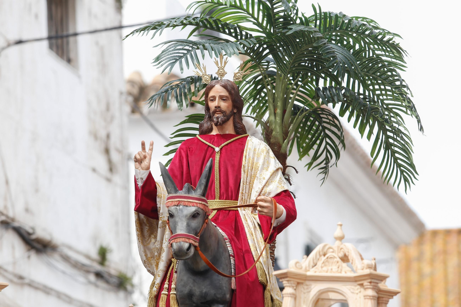 Fotos del Domingo de Ramos en San Roque