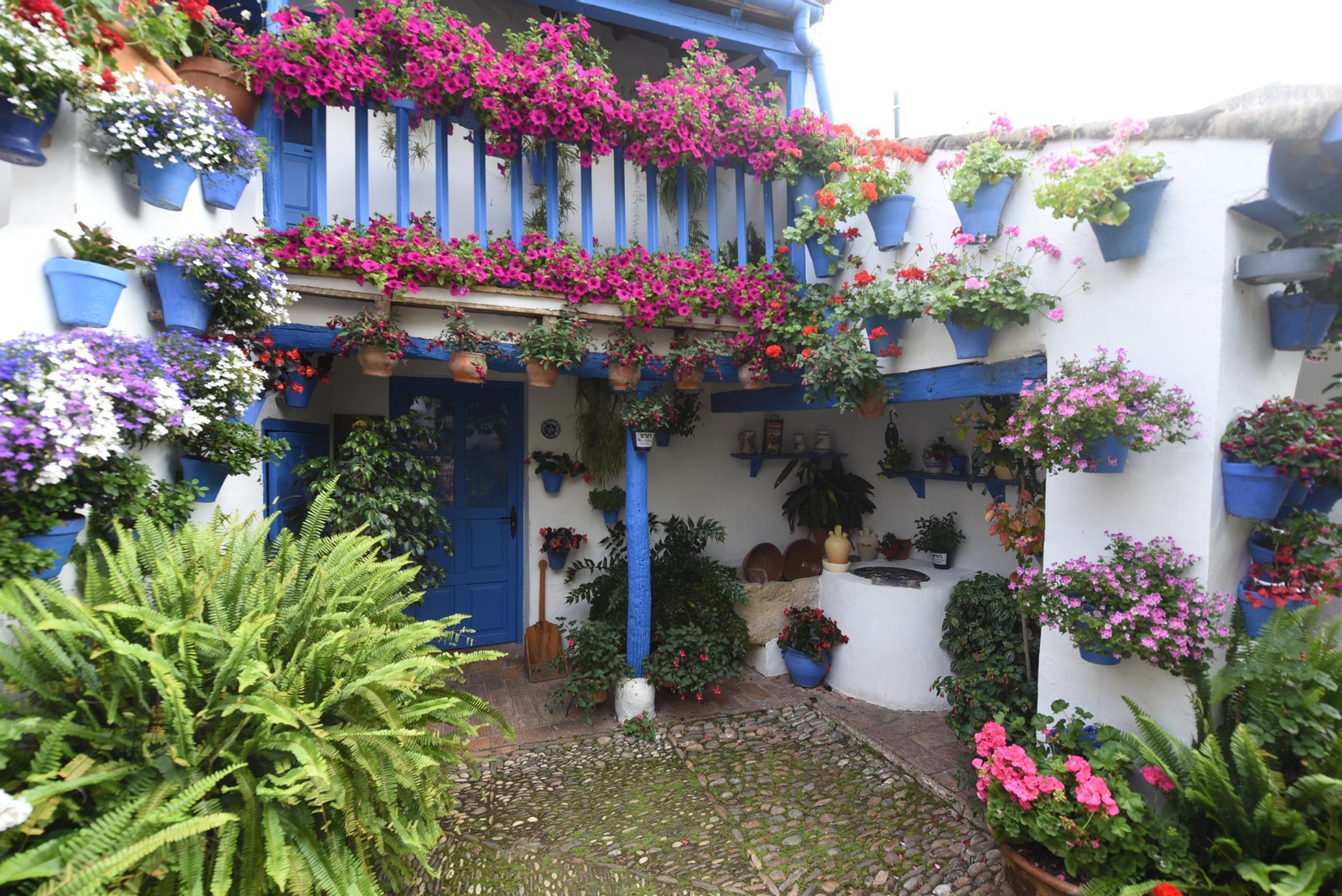 Los Patios de la ruta de San Lorenzo, en imágenes