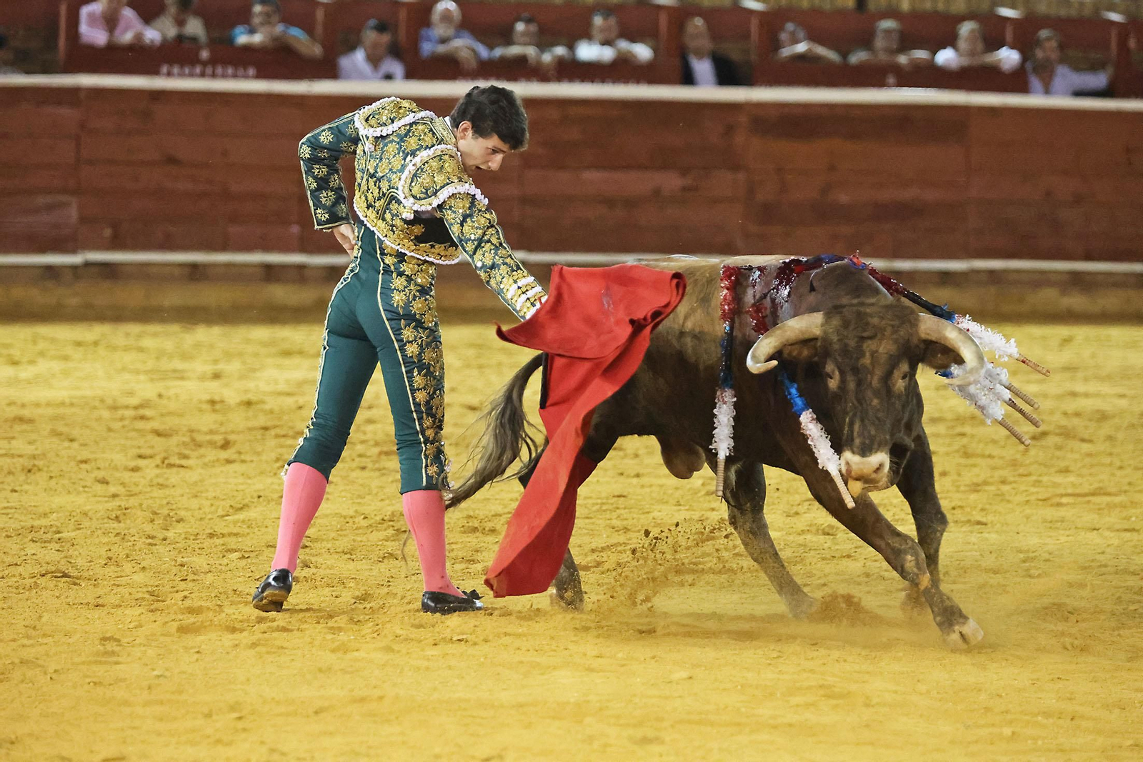 Toros La Merced 2024 Novillada con picadores(