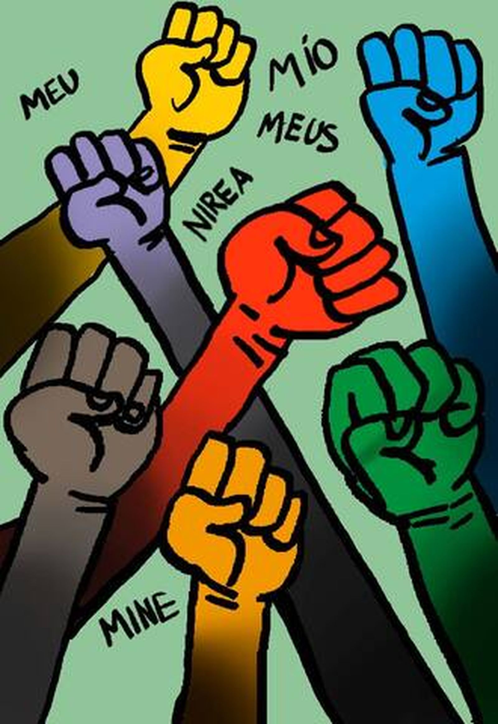 El problema es la plurinacionalidad