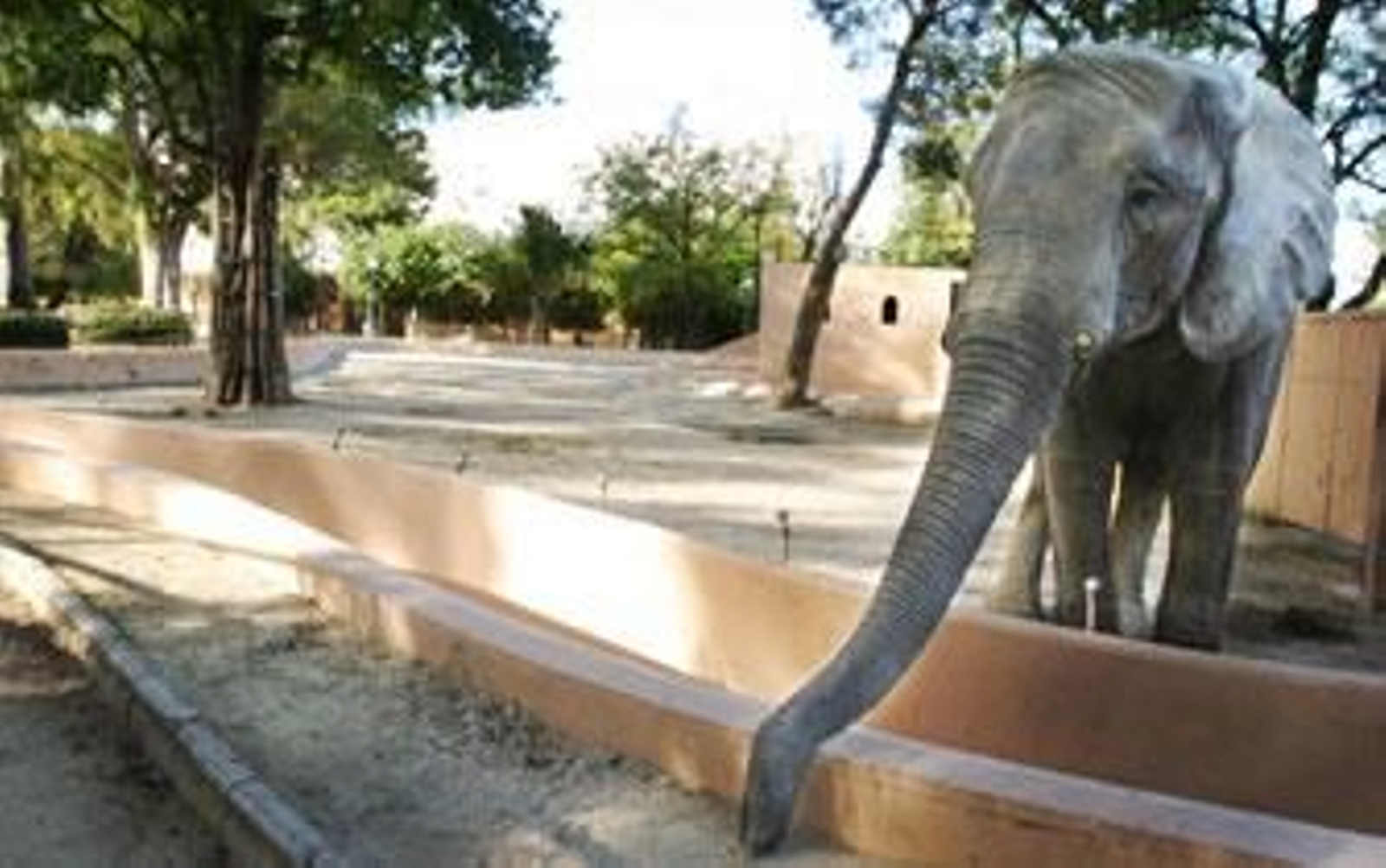 La nueva instalación de 'Buba' costará más de 300.000 euros