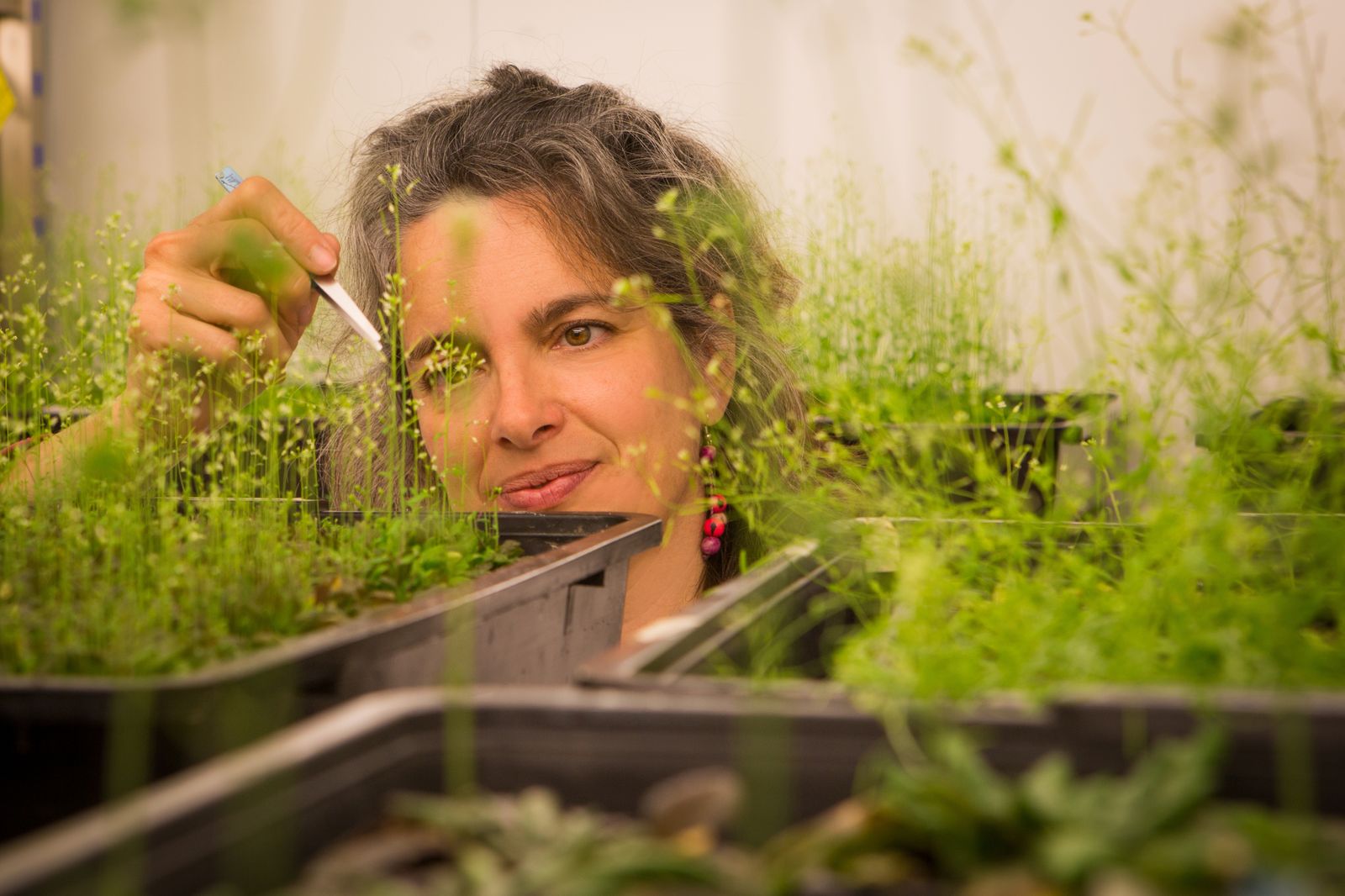 La investigadora Irene García Fernández  participa con su monólogo en Caixafórum en el Día Intenacional de la Mujer y la Niña en la Ciencia.