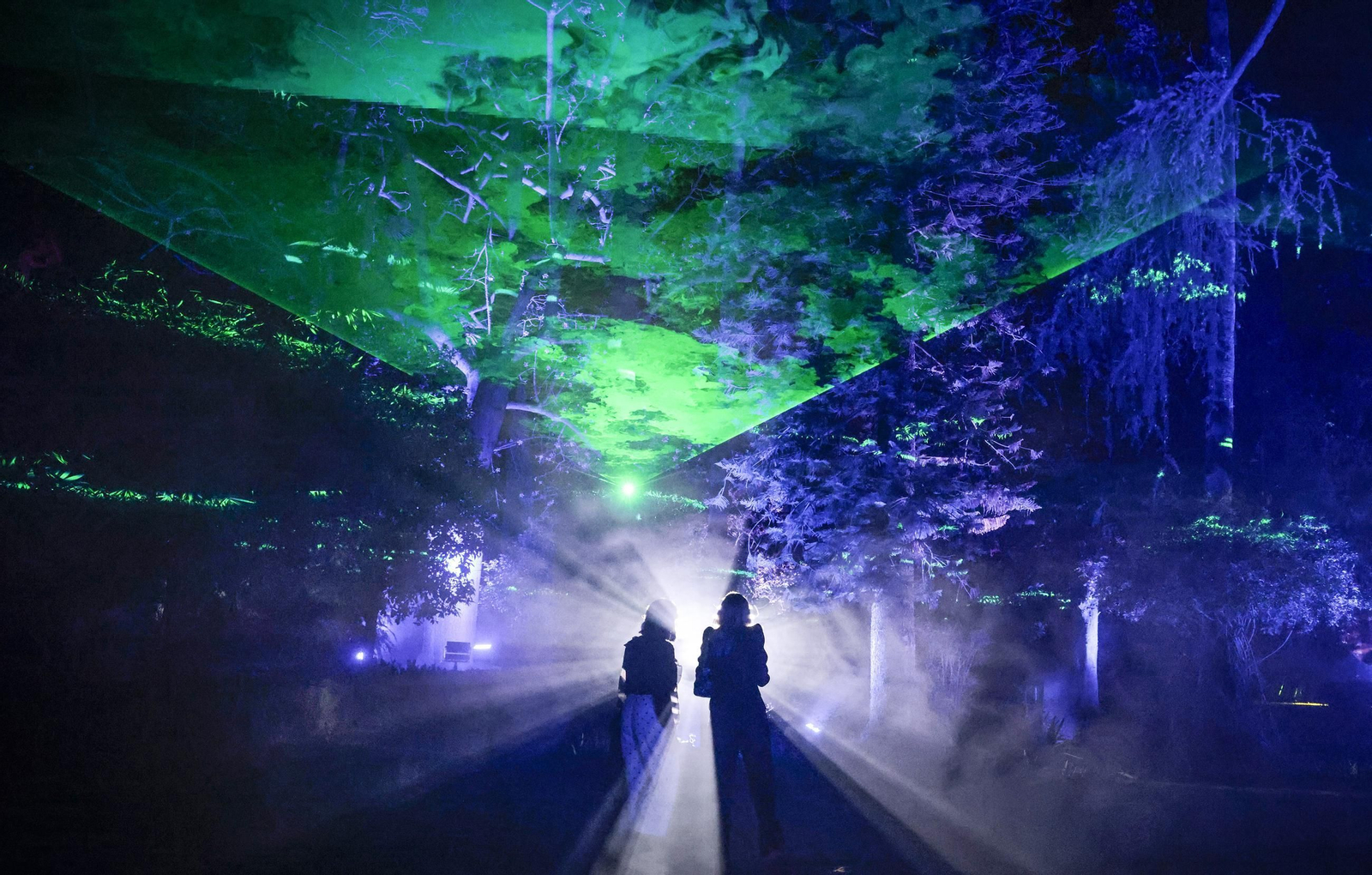 'Naturaleza Encendida' en los Reales Alcázares de Sevilla, todas las fotos