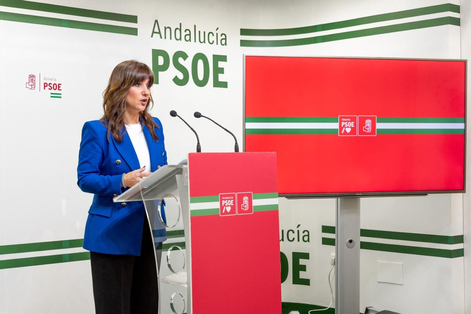 Inés Plaza diputada del PSOE.