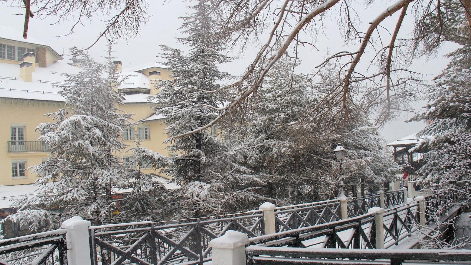 La helada en la zona de Pradollano