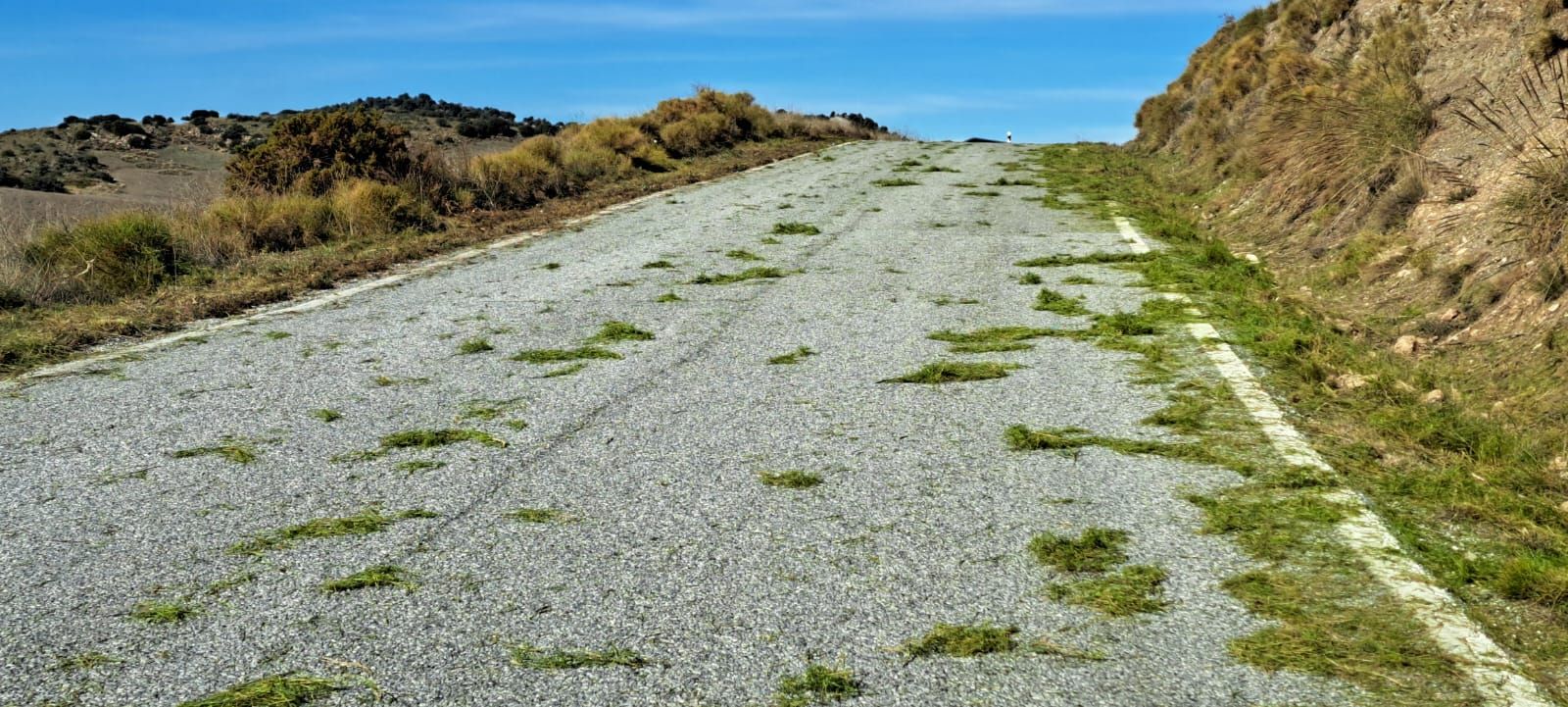 Estado de la carretera