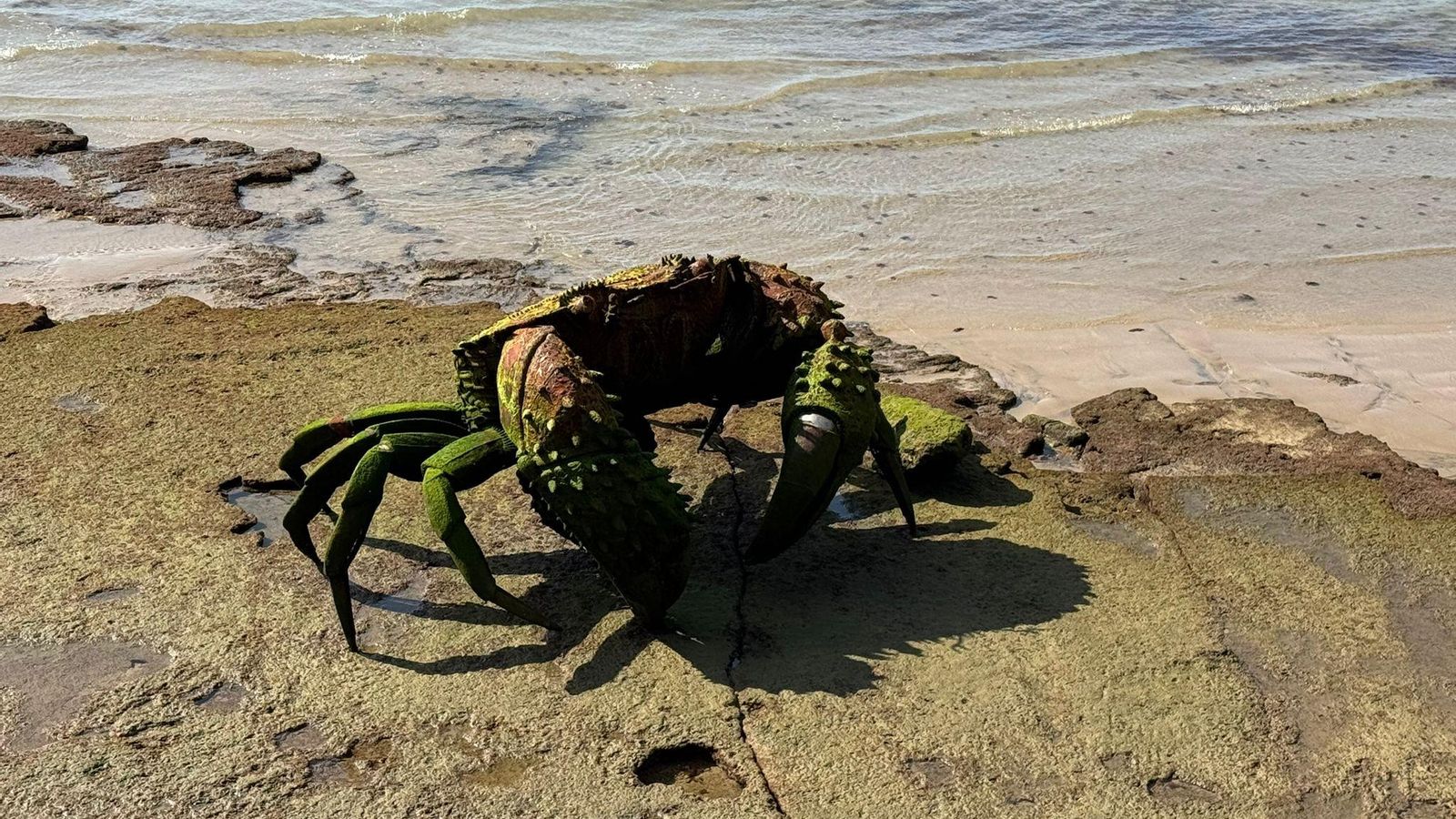 Uno de los cangrejos gigantes en la playa de Chipiona, obra del artista Alfredo Zaragoza.