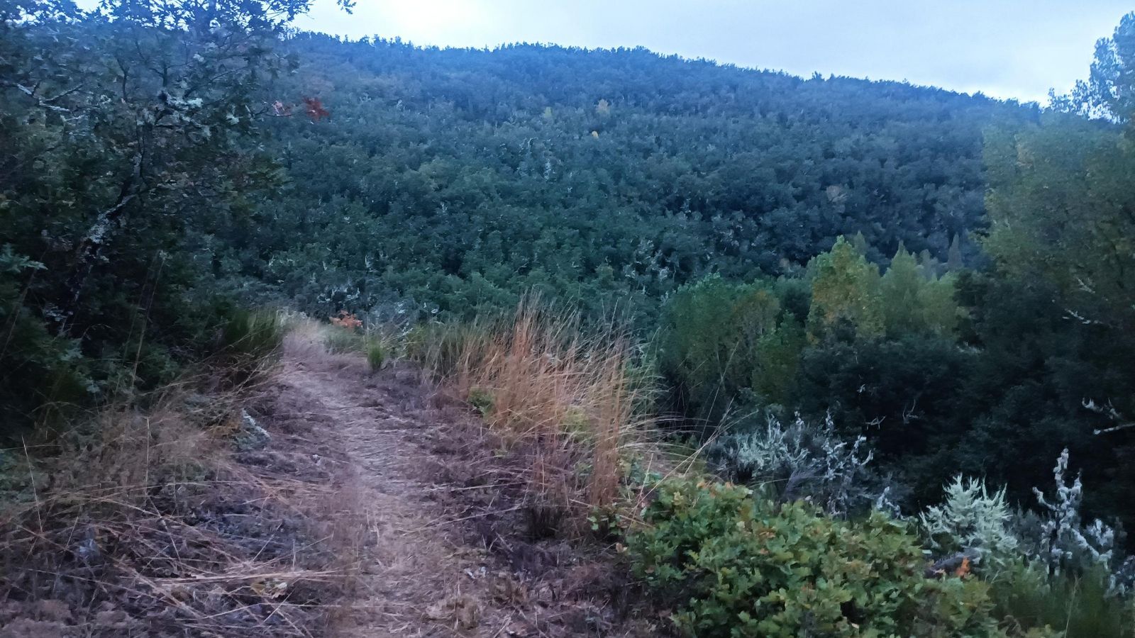 La subida a Labaniego es fuerte, pero corta.