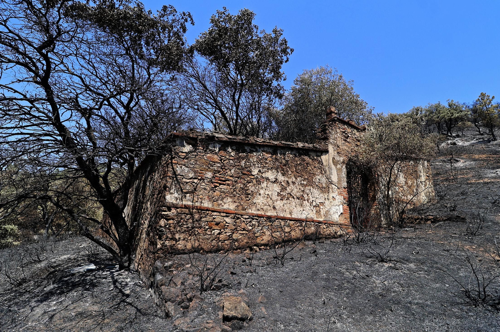 Imágenes de los vecinos de Los Romeros ya en sus casas tras el incendio