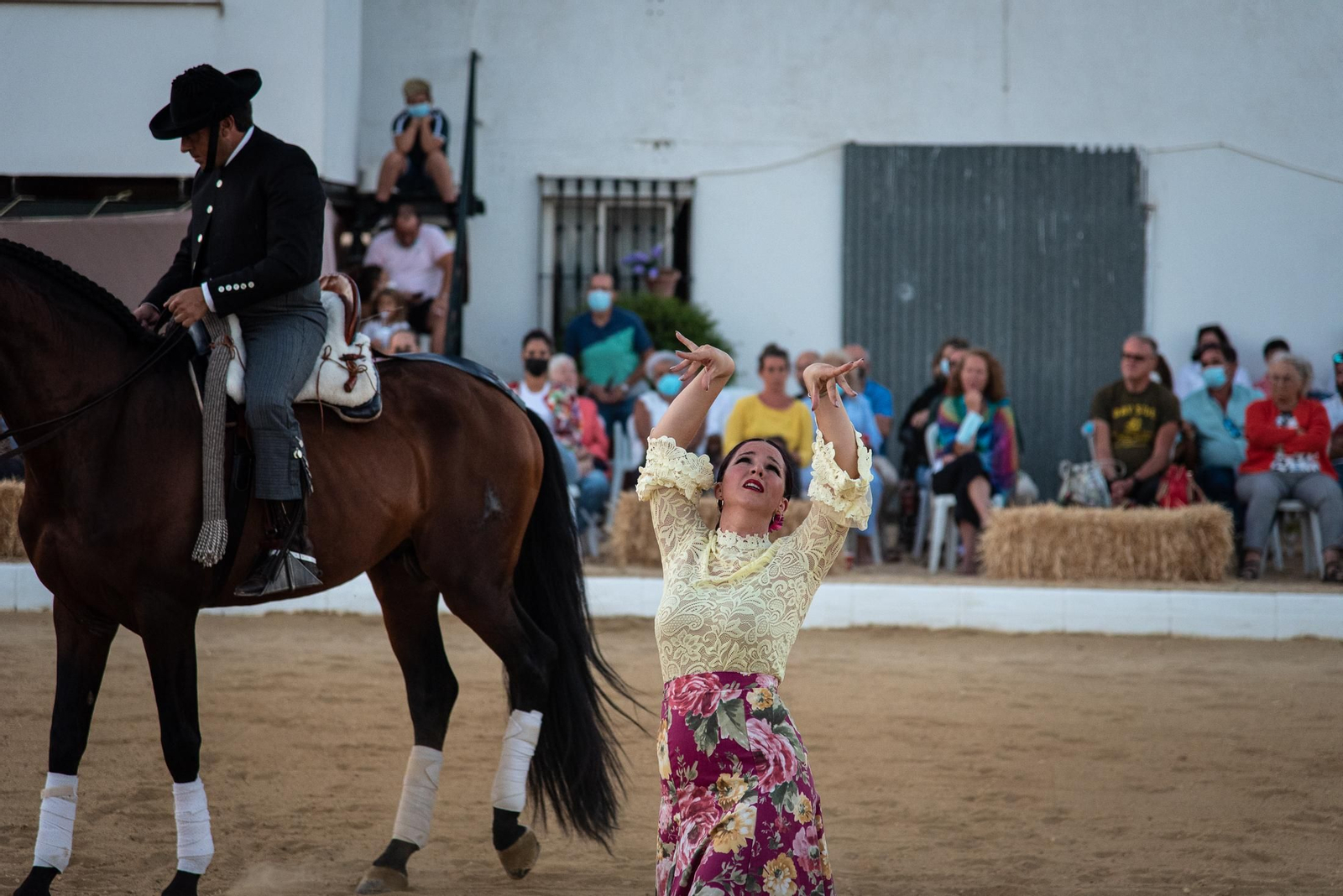 El espectáculo Flamencab en imágenes
