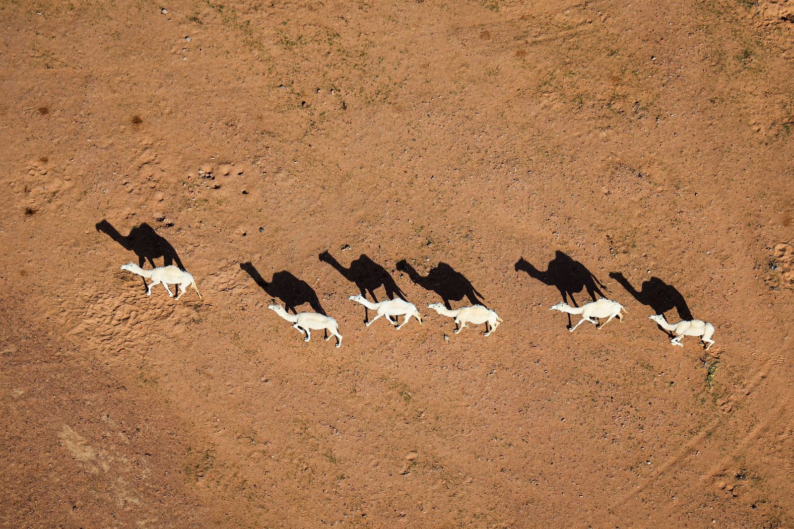 Las mejores fotos del Rally Dakar | Quinta etapa