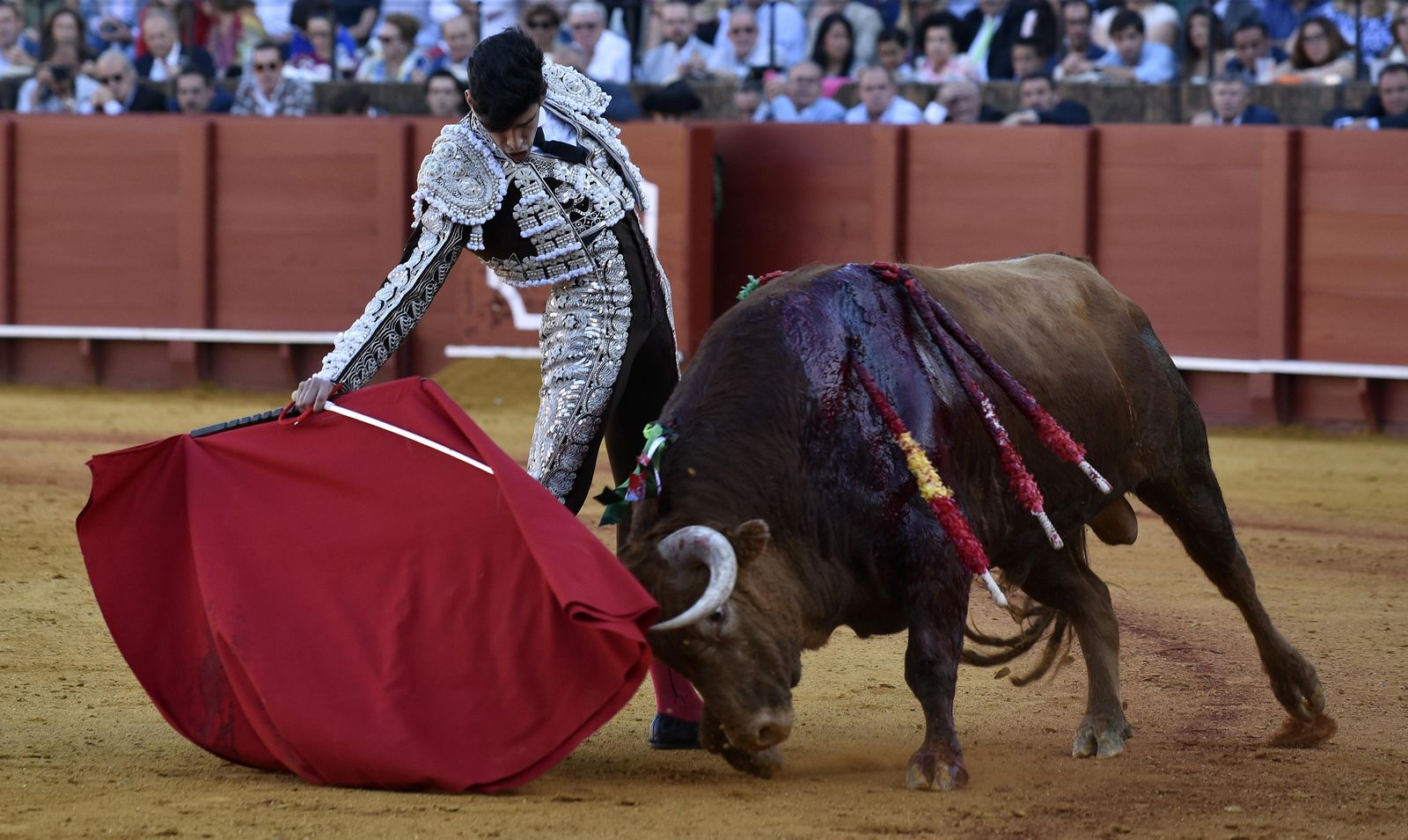 Las imágenes de la 13ª corrida de abono de La Maestranza