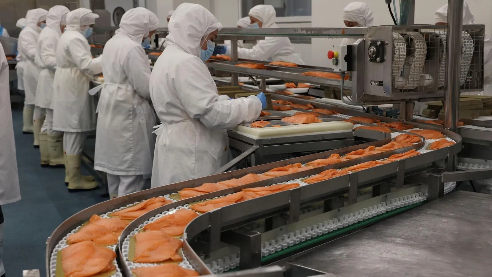 Trabajadores en una planta de procesado de alimentos.