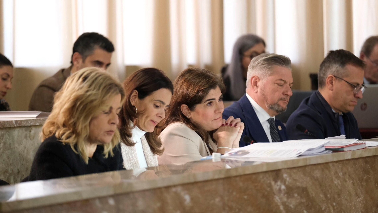 Vanesa Lara, durante la sesión plenaria de diciembre.