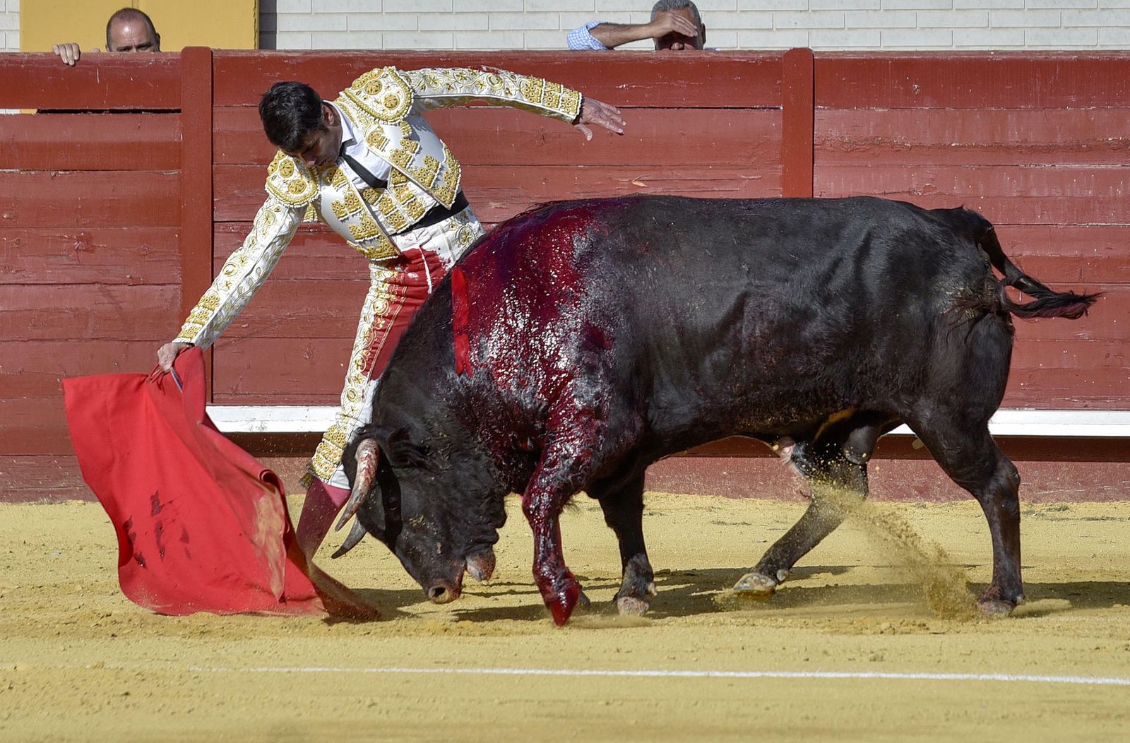 Las imágenes de la corrida en Morón con la reaparición de Jesulín de Ubrique