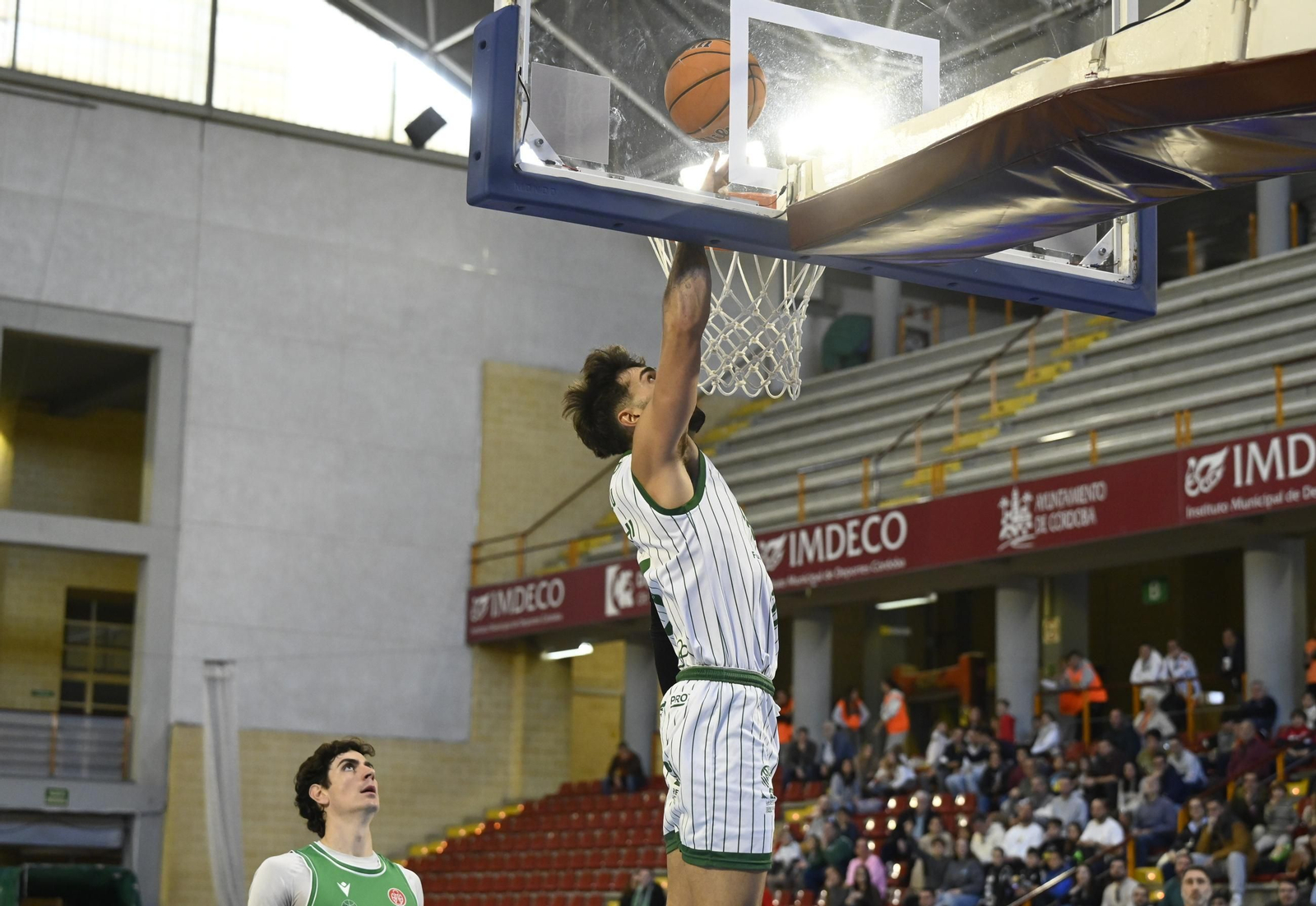 Las mejores fotos del ambiente en el Coto Córdoba - Cáceres Patrimonio de la Humanidad