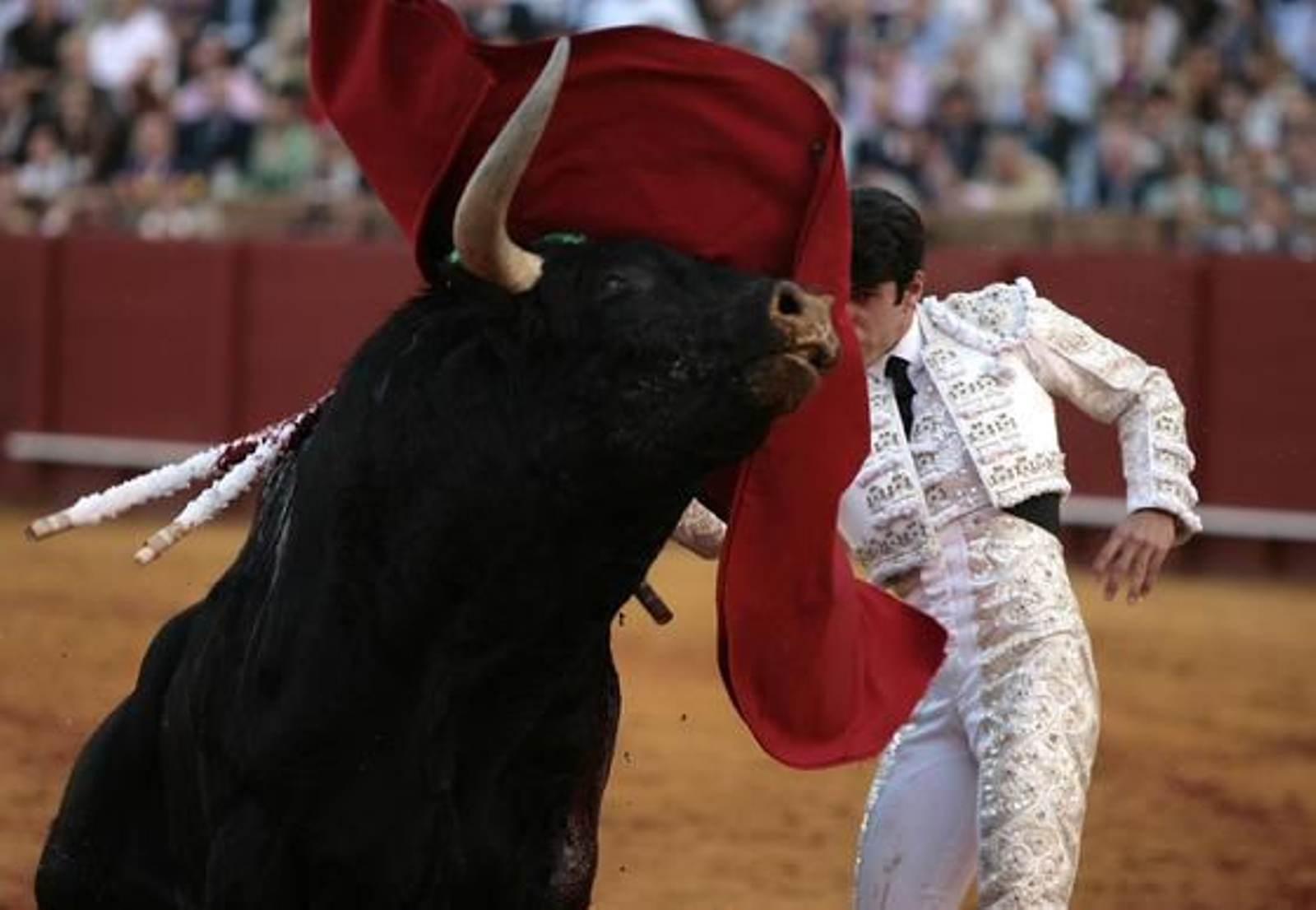Talavante cierra la tarde de la úndecima del abono.

Foto: Juan Carlos Muñoz