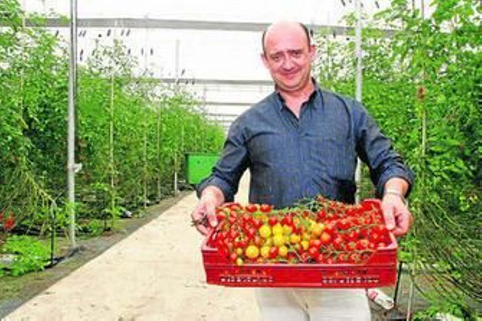 Manuel López, gerente de Philoseed España.