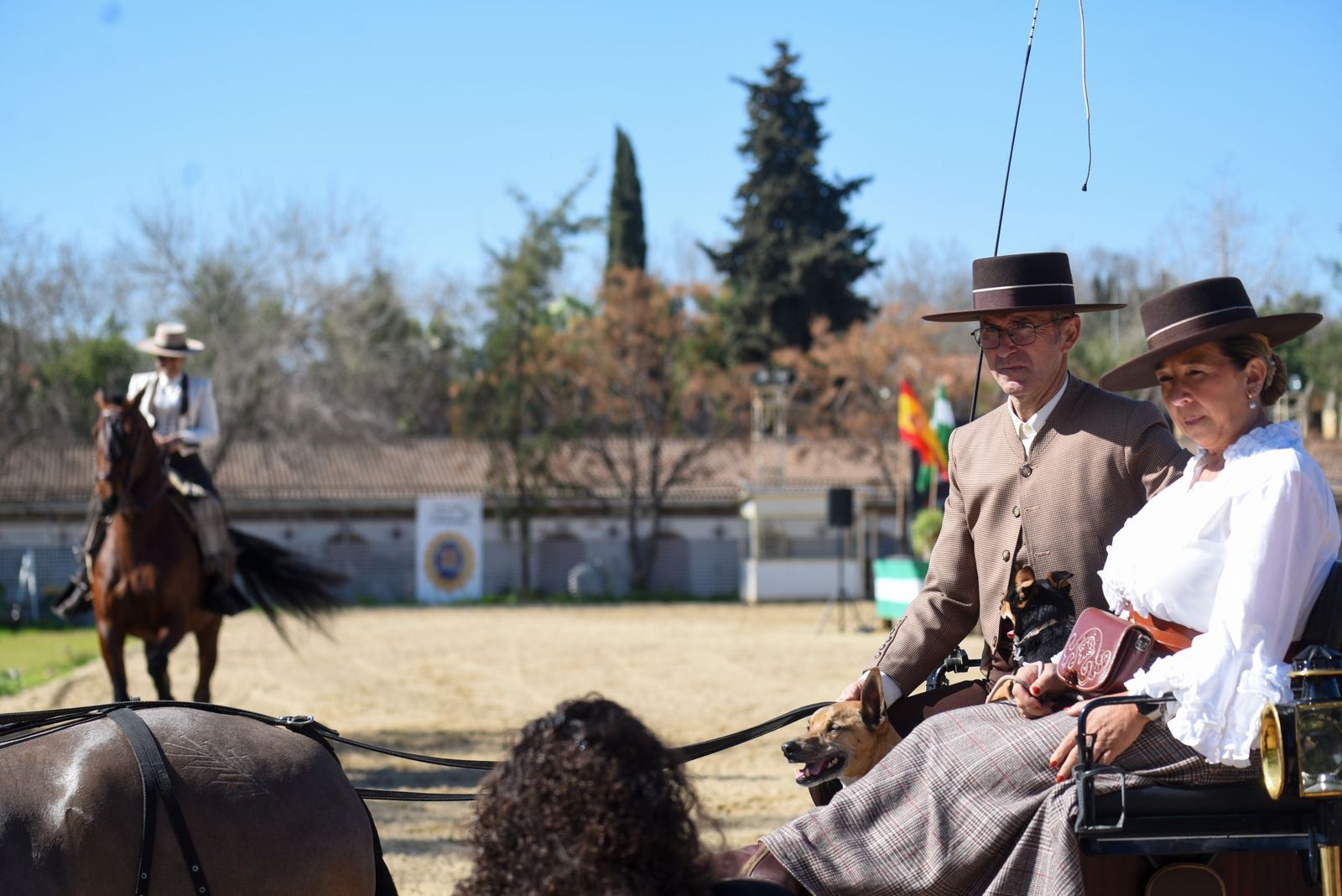 Las mejores imágenes de la Marcha Hípica Córdoba a Caballo del 28F de 2026