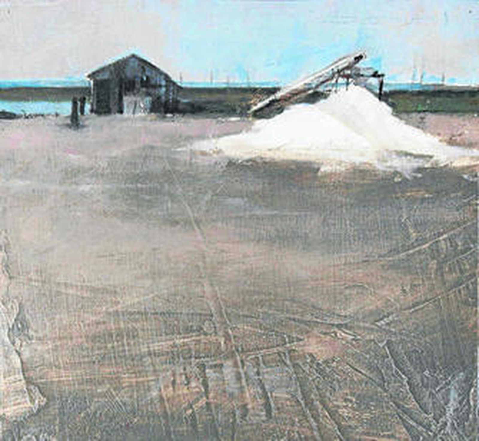 Varias de las obras de salinas de Lola Montero.