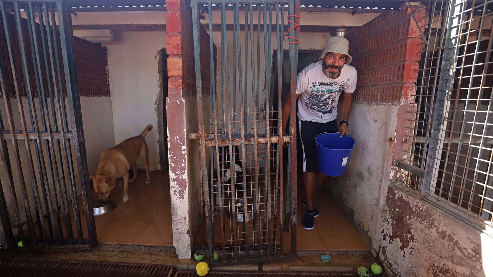 SOS Perrera Los Barrios