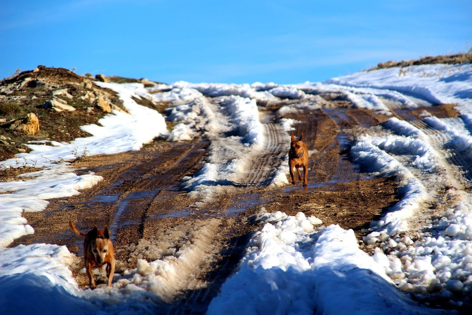 Sendero nevado en Pontones. Sendero nevado en Pontones.