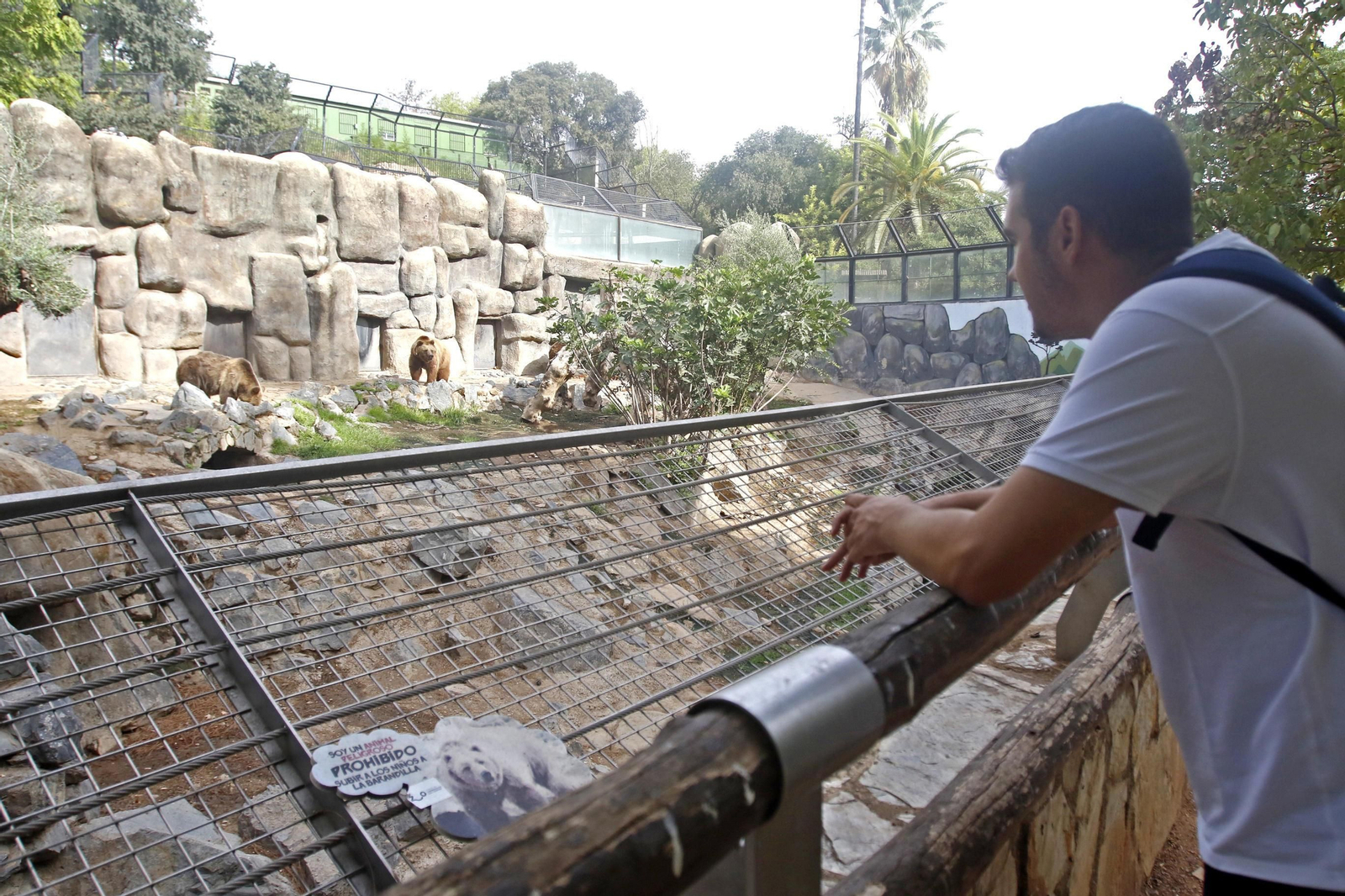 Las imágenes de la reapertura del zoo de Córdoba