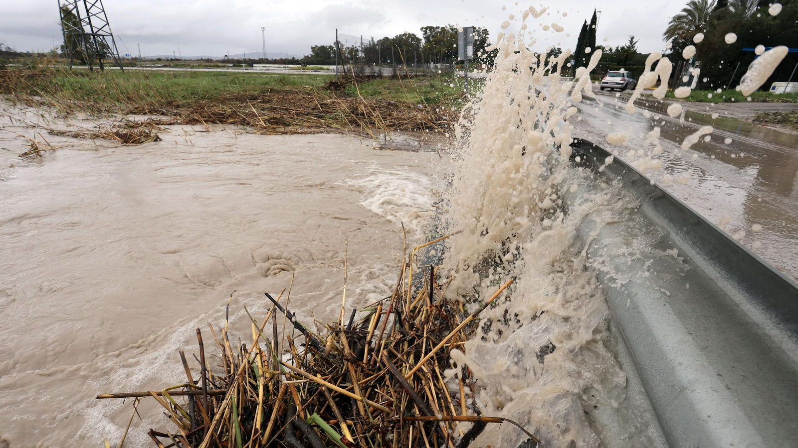 Imágenes del temporal de viento y lluvia en Jerez