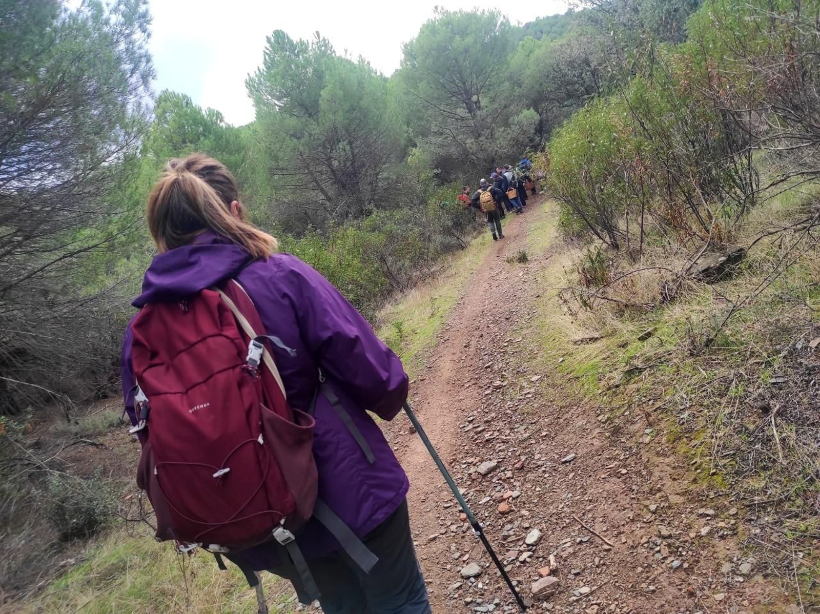Ruta senderista para recolectar hasta diez tipos de setas diferentes en Despeñaperros