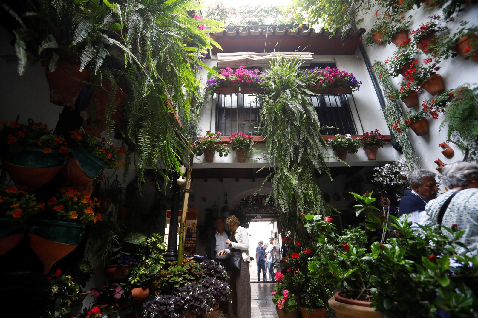 Los patios de Córdoba de la ruta Judería-San Francisco, en imágenes