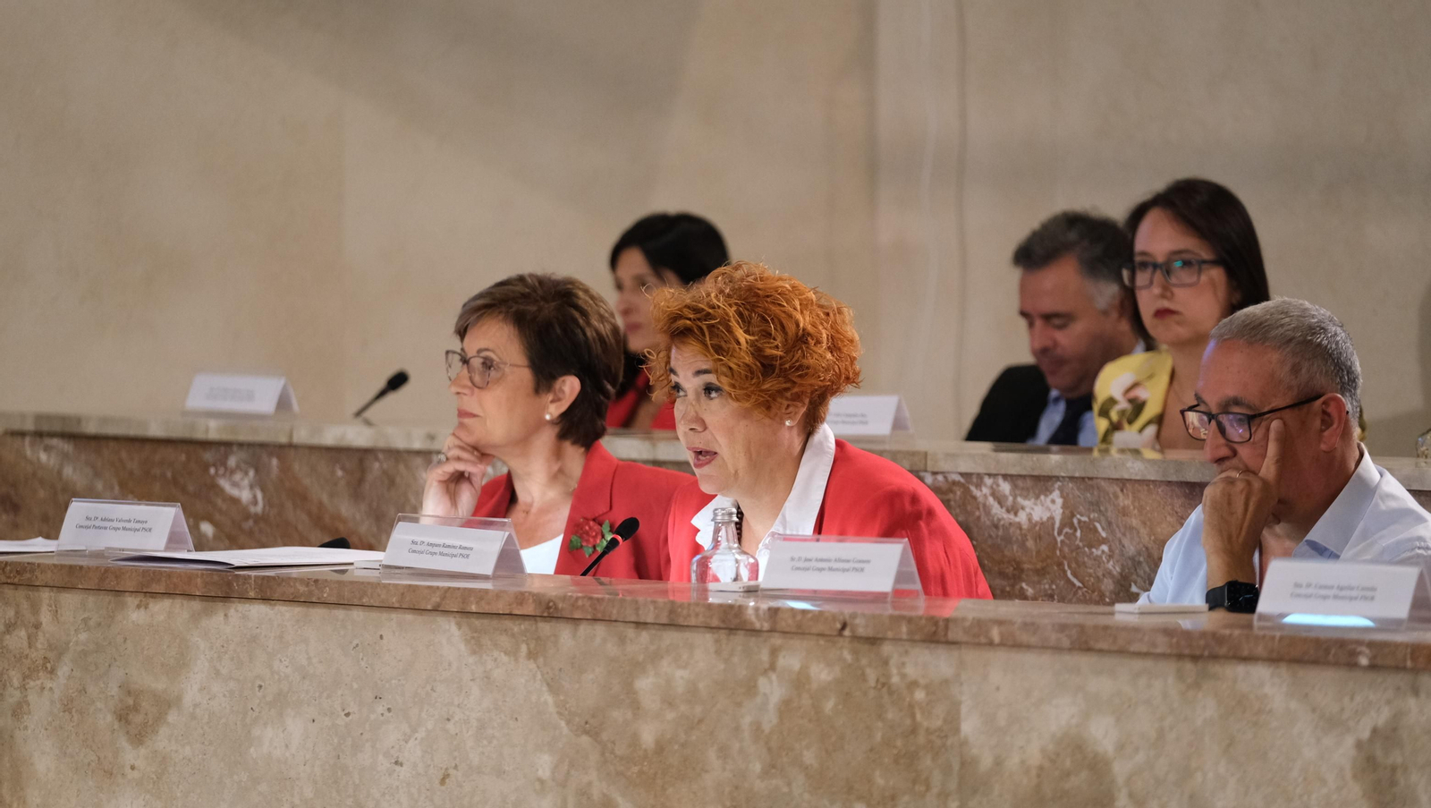 Imágenes del pleno del Ayuntamiento de Almería