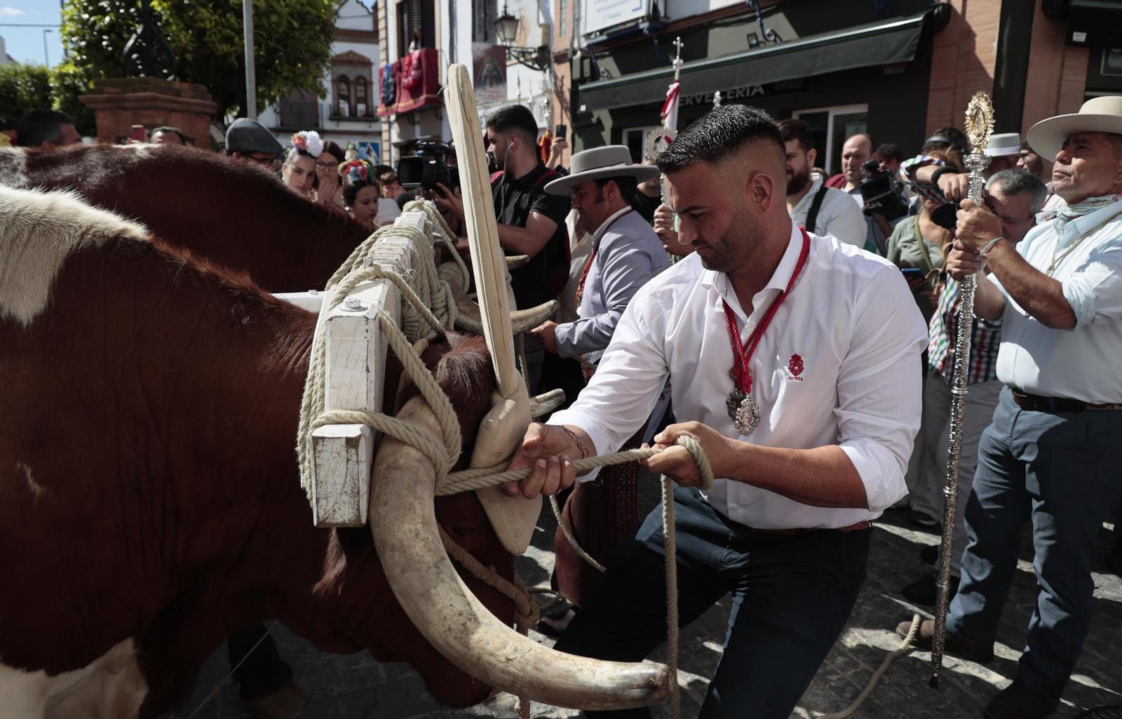 Las imágenes de la Hermandad del Rocío de Coria