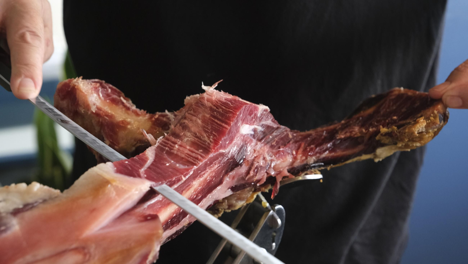 Las mejores imágenes de la feria del mediodía 2025 en Almería