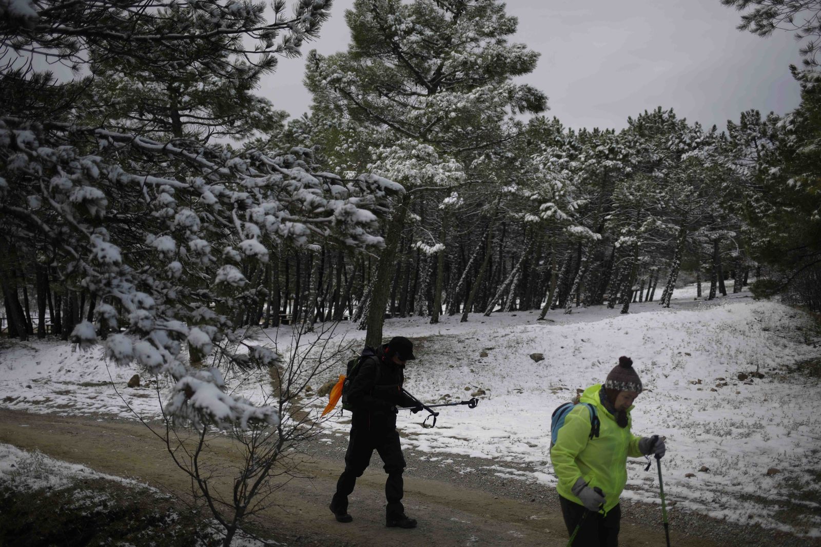 La excursiones a los parajes nevados de Málaga, en imágenes