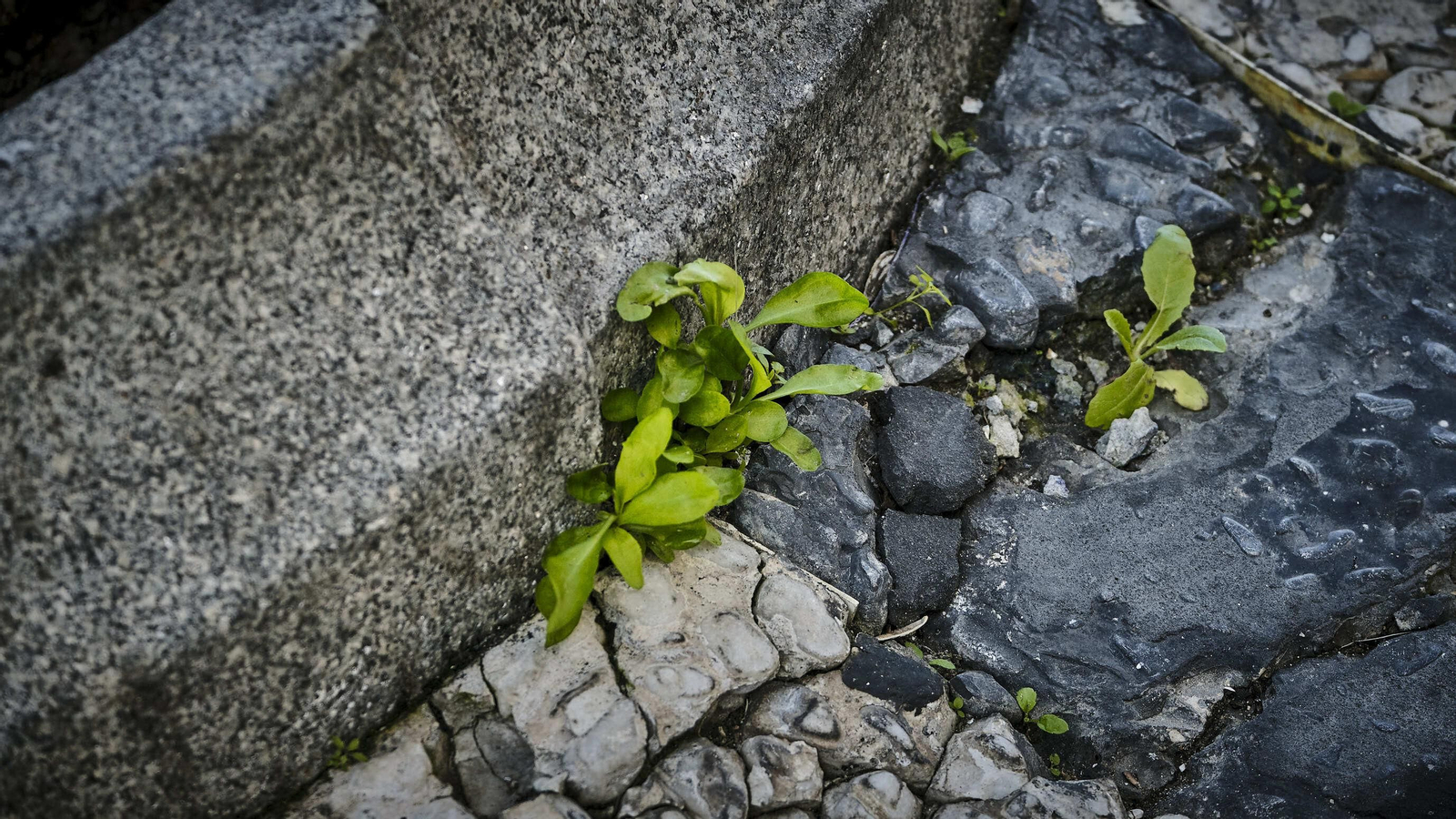 Estado del pavimento en plaza San Juan de Dios