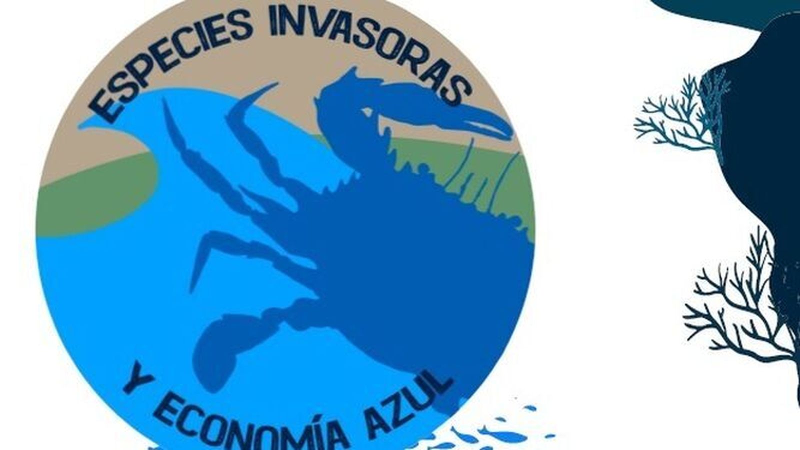 La jornada se desarrolla este jueves en la Casa de Los Toruños, en El Puerto.