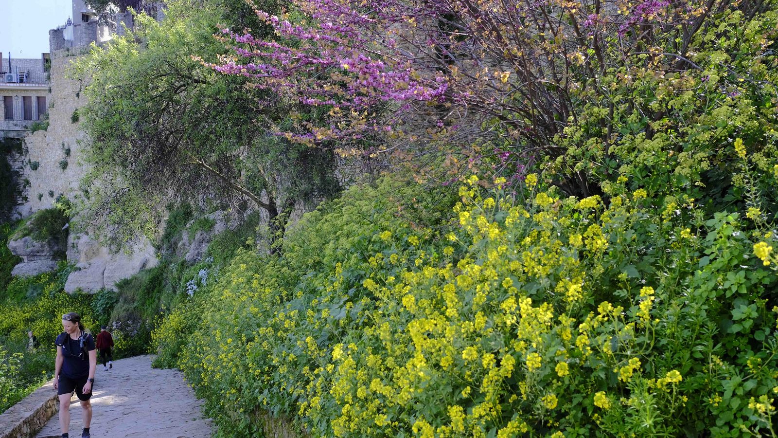 Camino de bajada hacia el Tajo de Ronda.