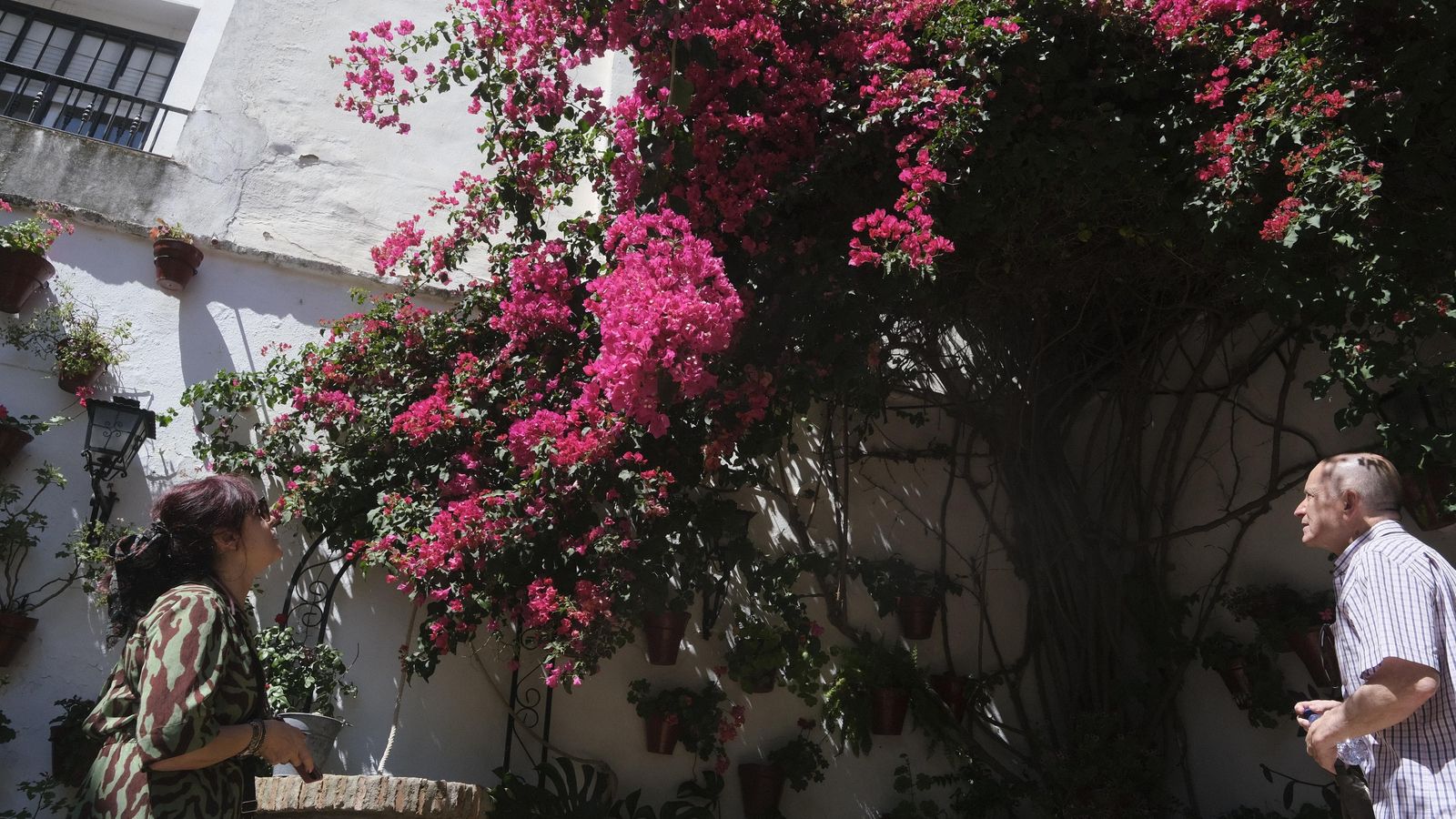 Marisa de Castro y Emilio Beldad observan las flores de Escañuela, 3.