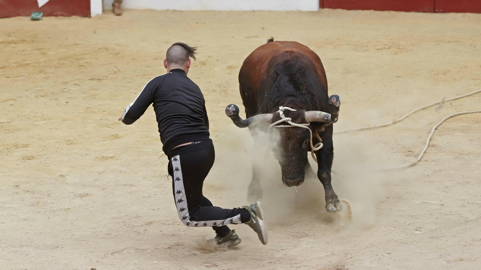 Imágenes del Toro Embolao de Los Barrios