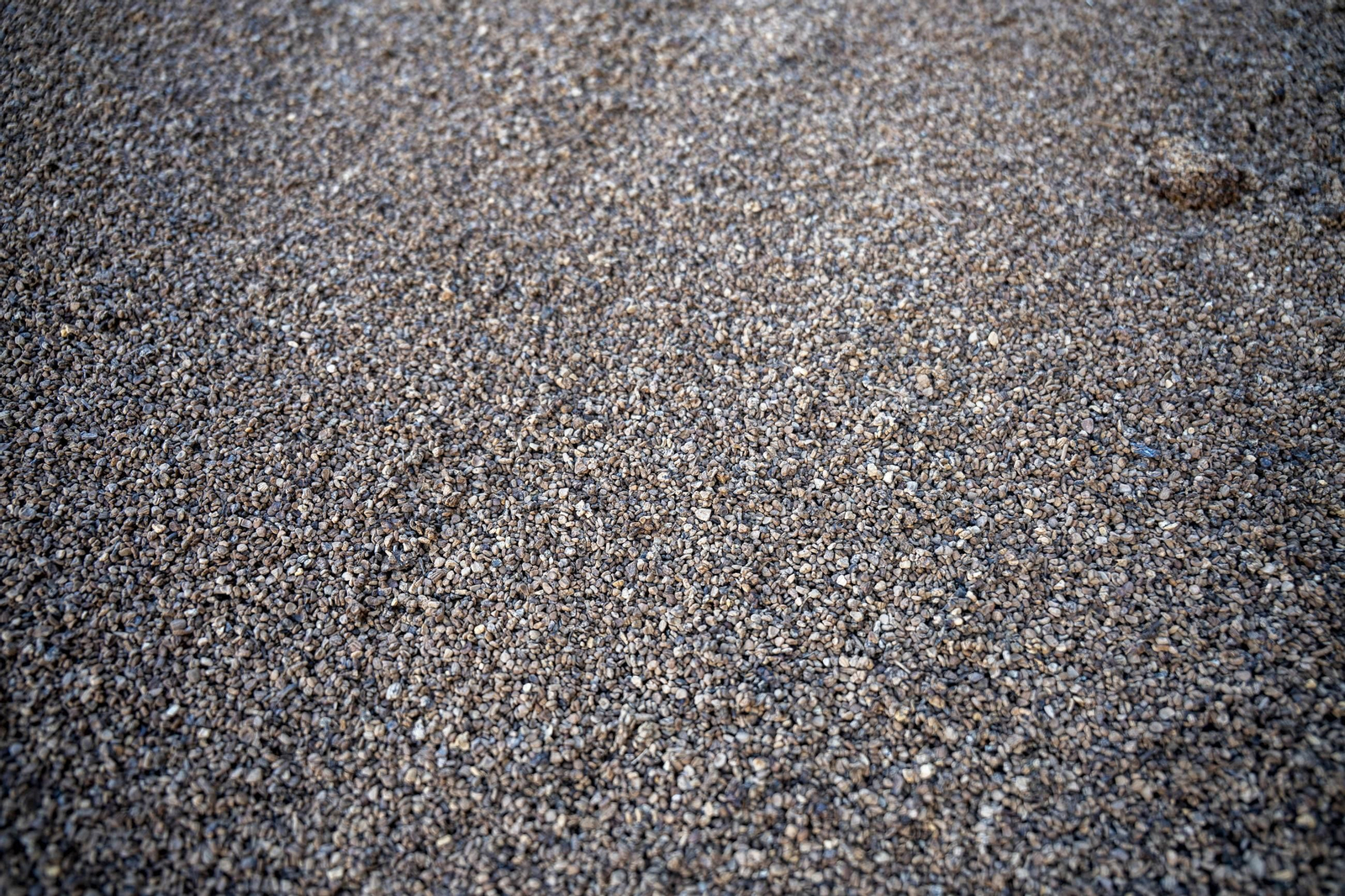 Os enseñamos como se hace el aceite en la almazara de Fiñana, en imágenes