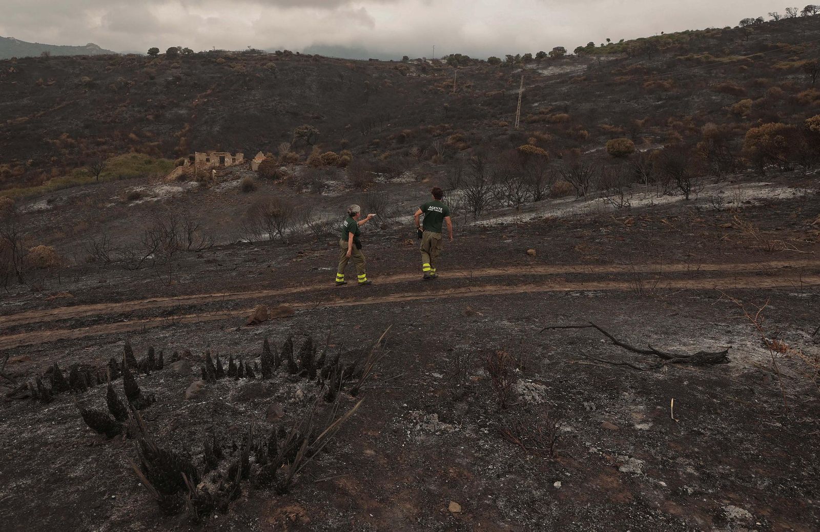 Fotos de los efectos del incendio en el Puerto del Laurel en Algeciras