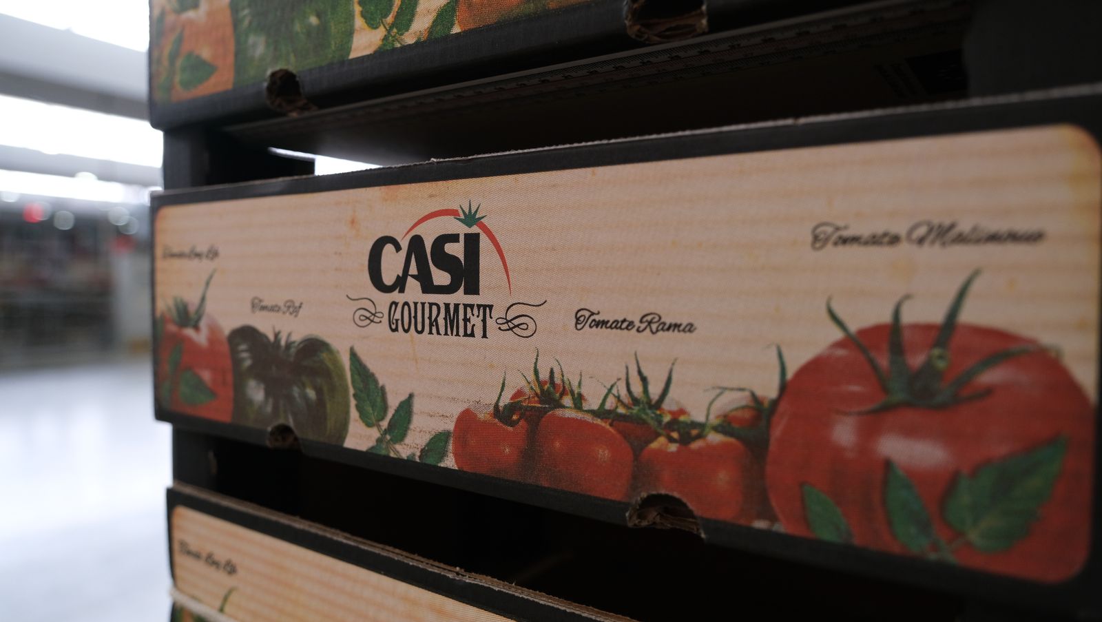 La IA llega a CASI, en imágenes