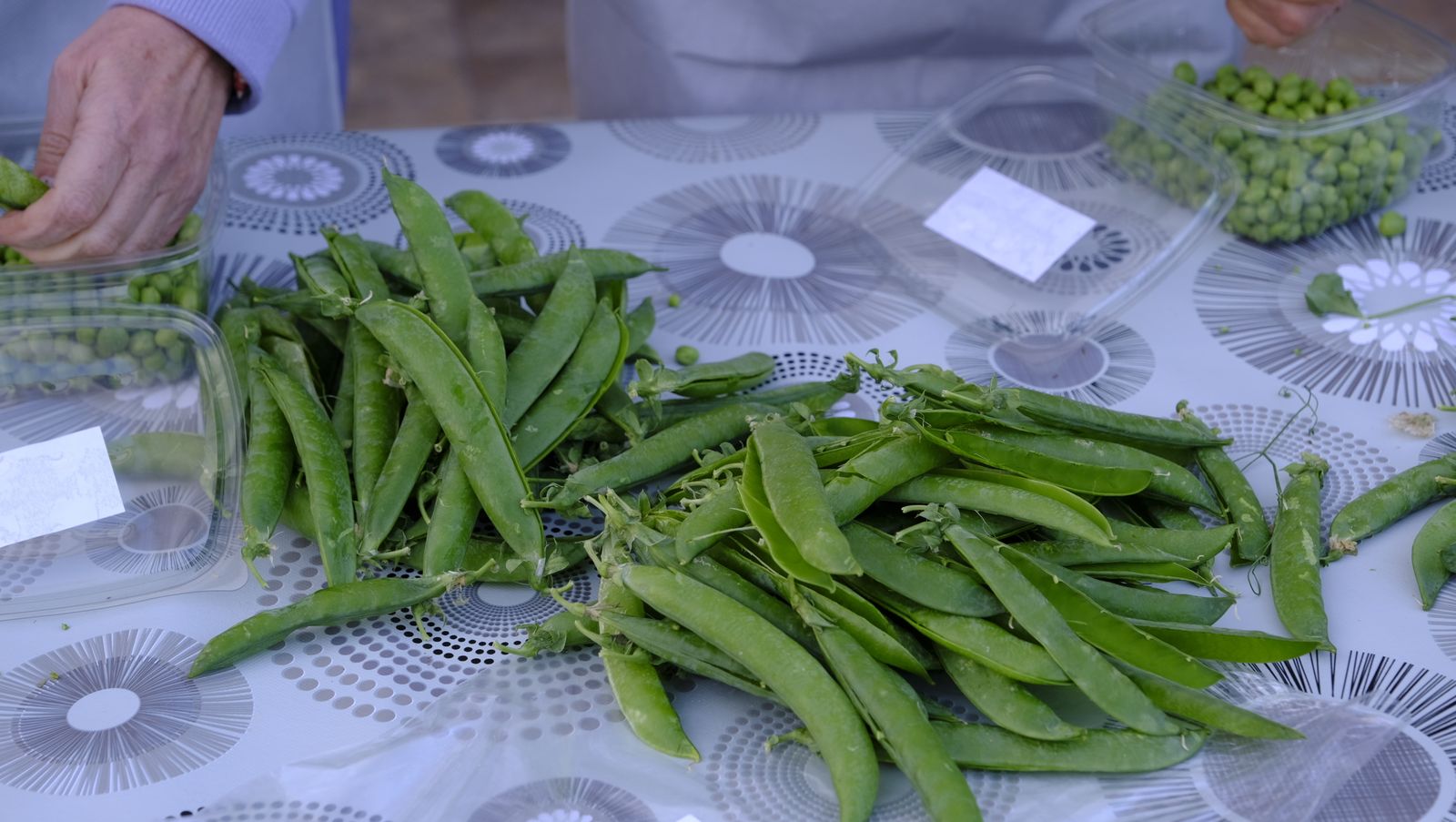 Imágenes de las Jornadas de Présules y Tirabeques en Dalías