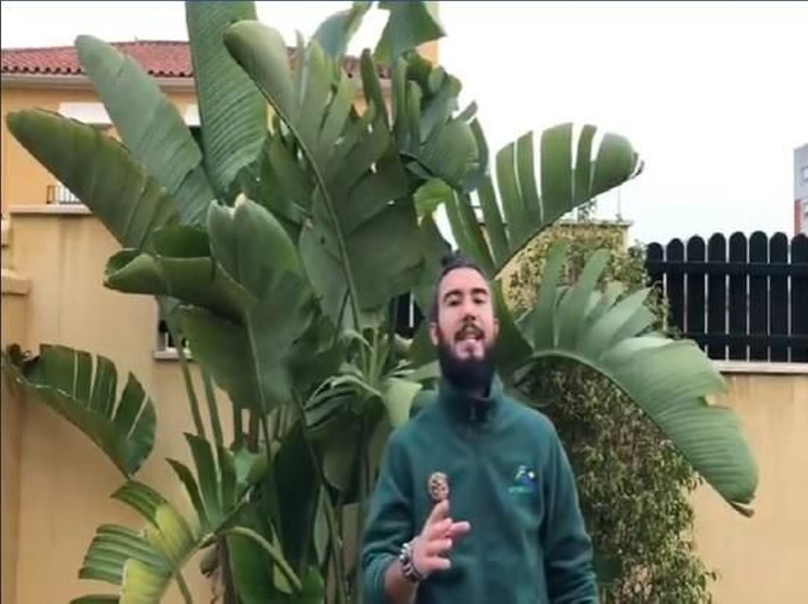 Luis Rodríguez, guía del Zoobotánico, explicando en un vídeo curiosidades del buitre negro.