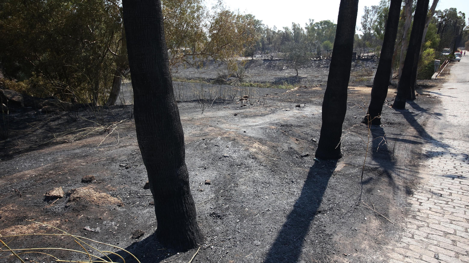 Imágenes de las zonas afectadas por el grave incendio en Jerez