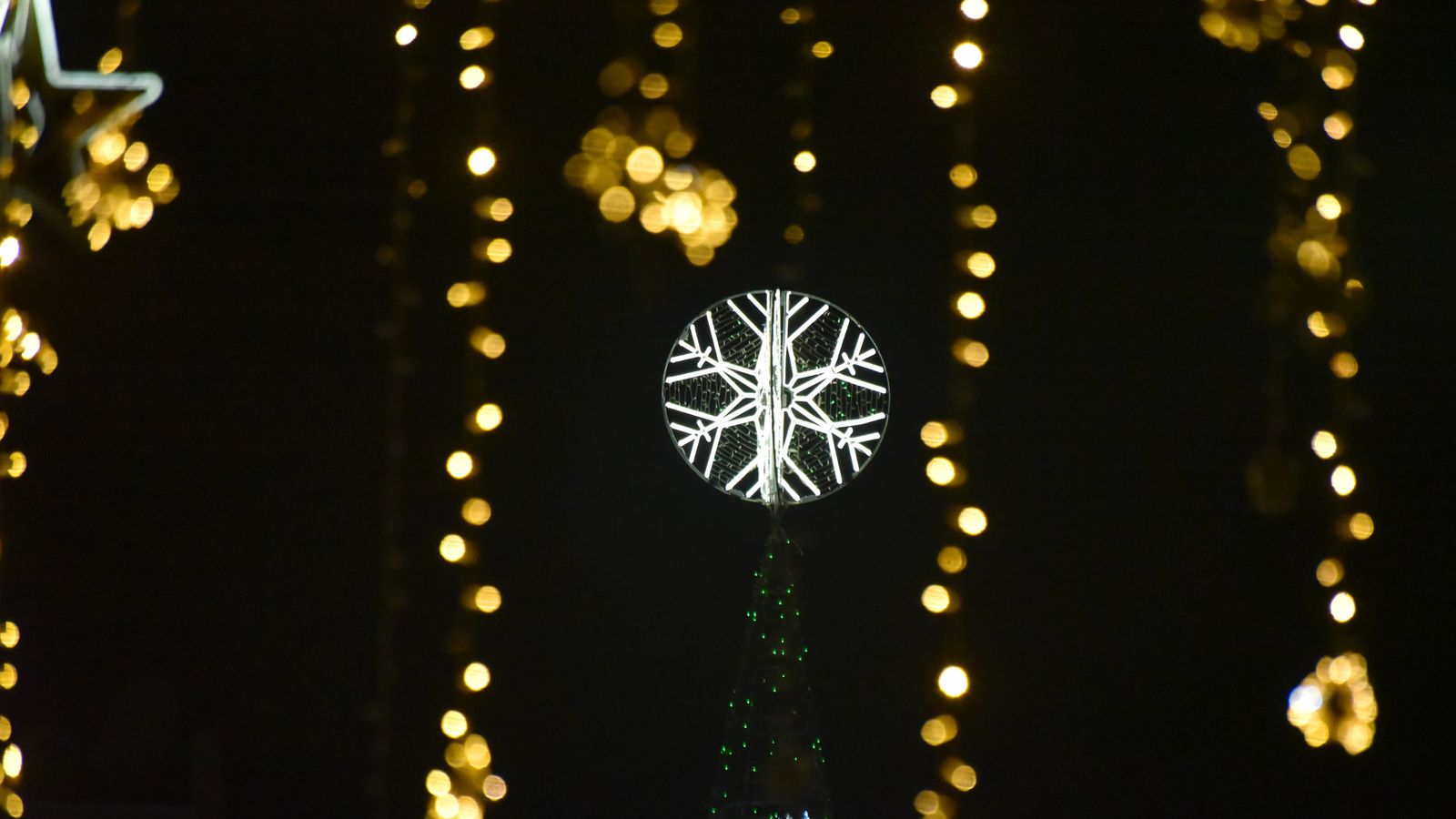 El encendido del alumbrado de Navidad de San Roque, en imágenes